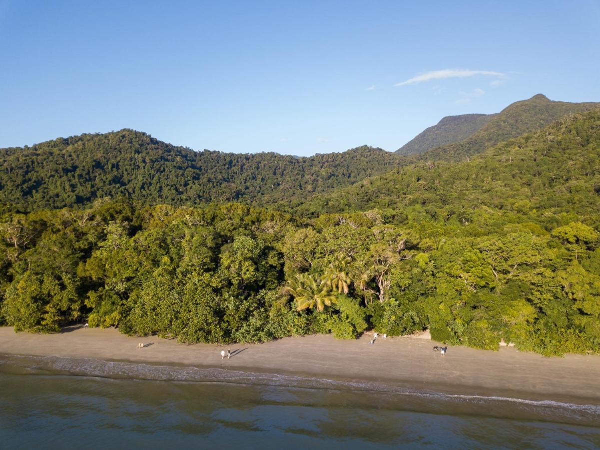 Cape Trib Beach House Hotell Cape Tribulation Exteriör bild