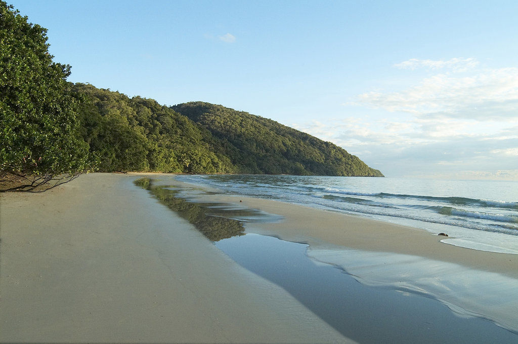 Cape Trib Beach House Hotell Cape Tribulation Exteriör bild