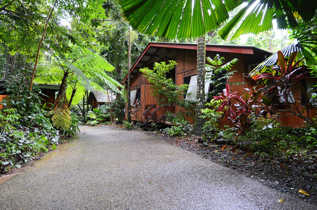 Cape Trib Beach House Hotell Cape Tribulation Exteriör bild