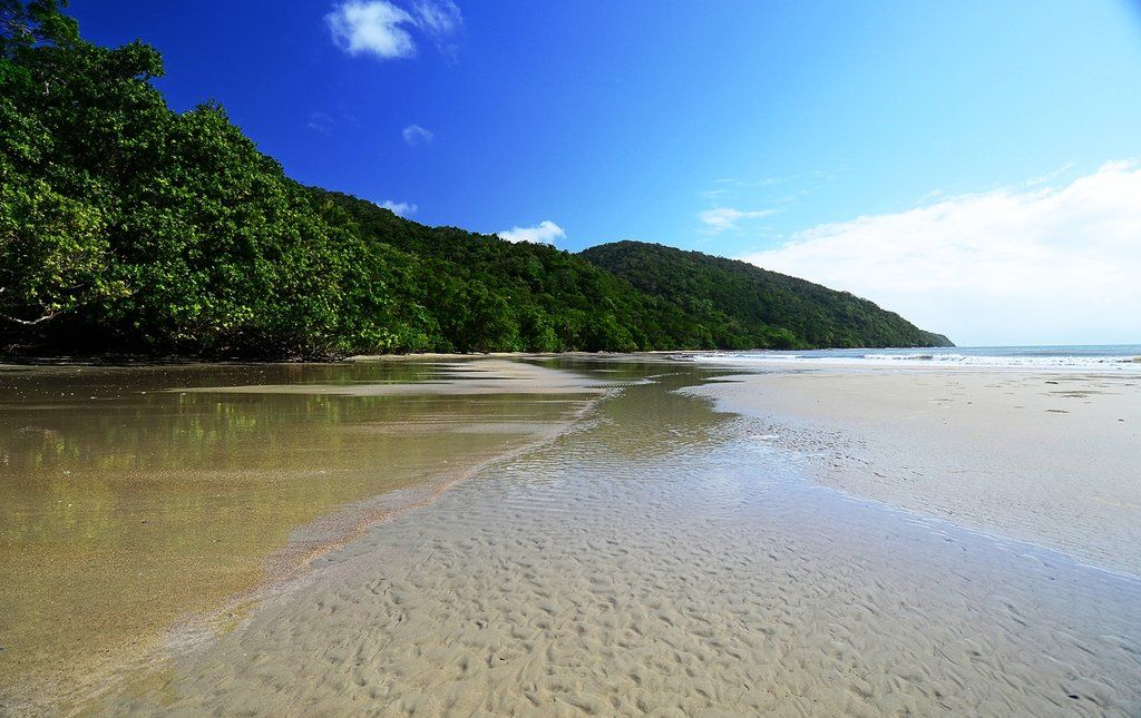 Cape Trib Beach House Hotell Cape Tribulation Exteriör bild